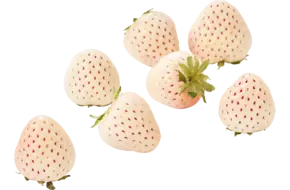 Whiteberry aardbeien 100gr.